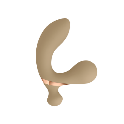 Vibrator and prostate massager